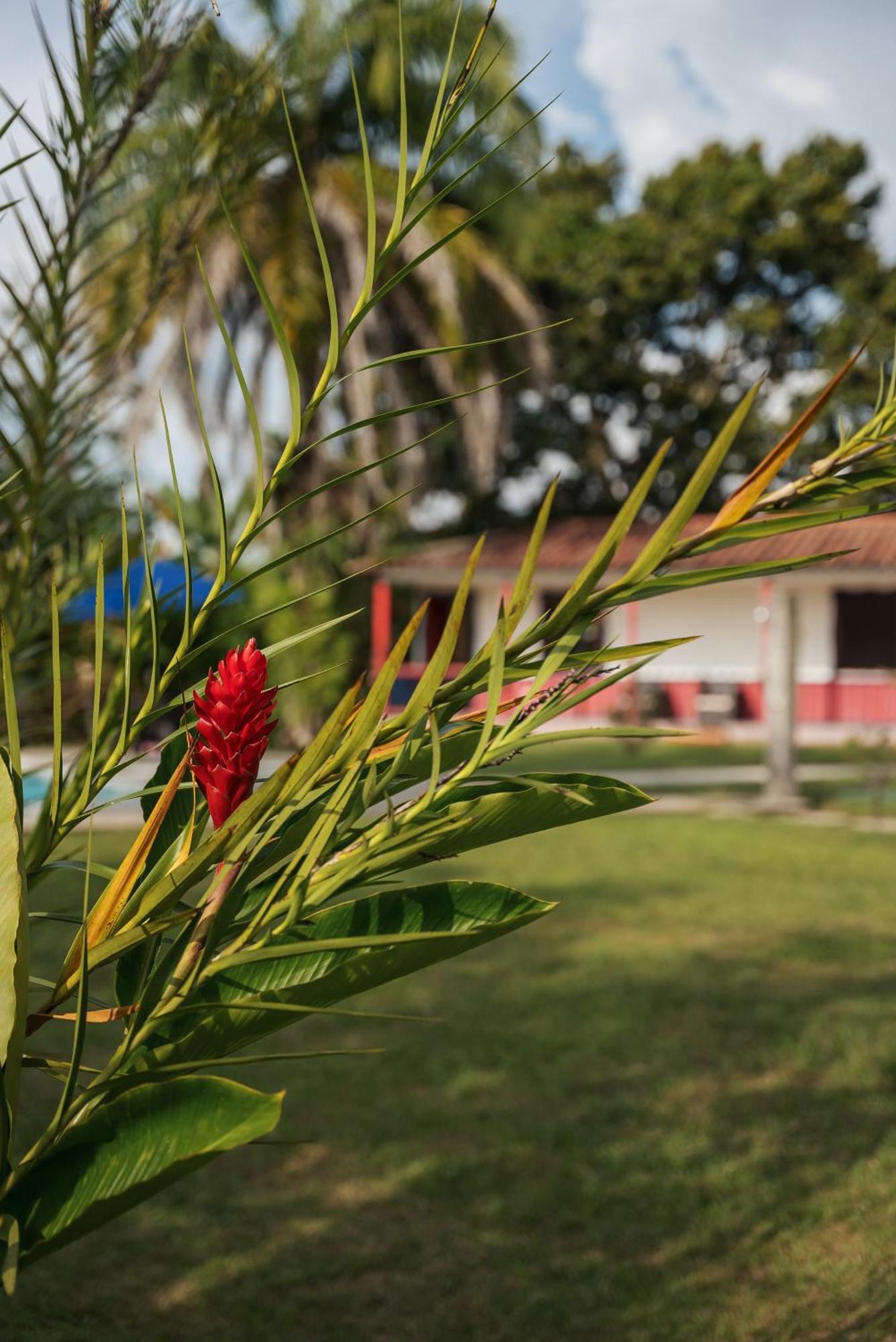 Finca Hotel Puerto Espejo Exterior photo